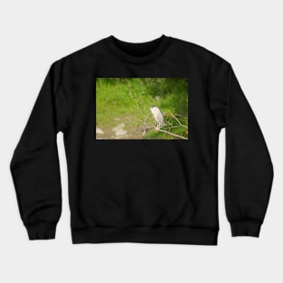 Hungry Eyes Crewneck Sweatshirt